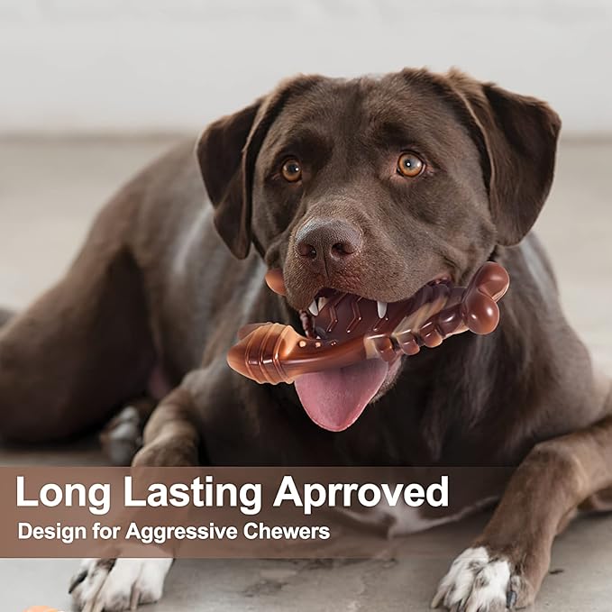 PETSTA Indestructible Dog Toys for Aggressive Chewers, Extreme Tough Dog Toys for Large Dogs, Real Beef Flavored, Dog Bone for Medium/Large Dogs Breed