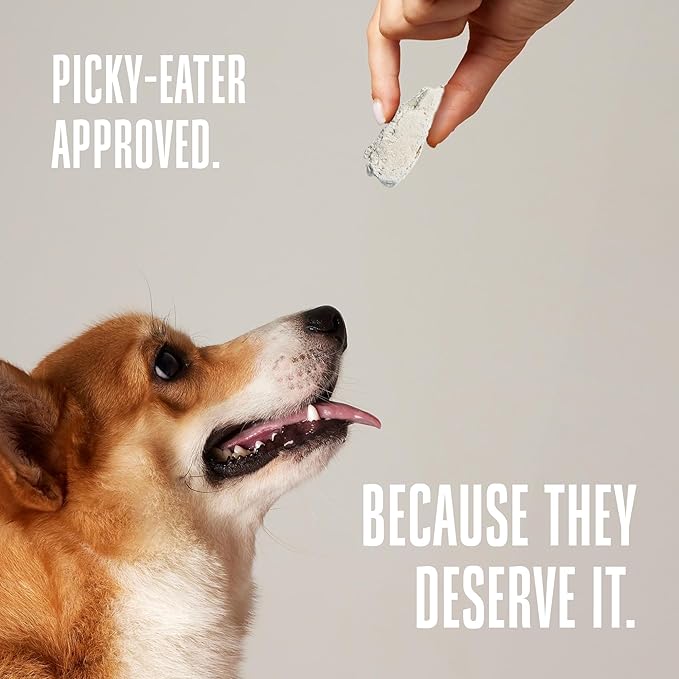 Whole Life Dog Just One Chicken Freeze Dried Dog Treats - Human Grade High Protein Food, Healthy Training Snacks, Freeze Dried Food Toppers, USA Made Natural Treats - 4 oz (Value Pack of 1)