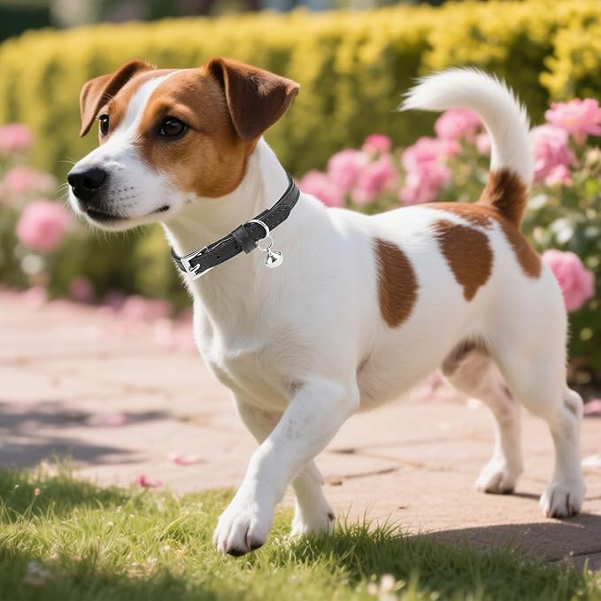 PUPTECK 2 PCS Soft Genuine Leather Cat Kitten Collar with Bells Adjustable for Girl Boy Cats Puppy - Black, Khaki