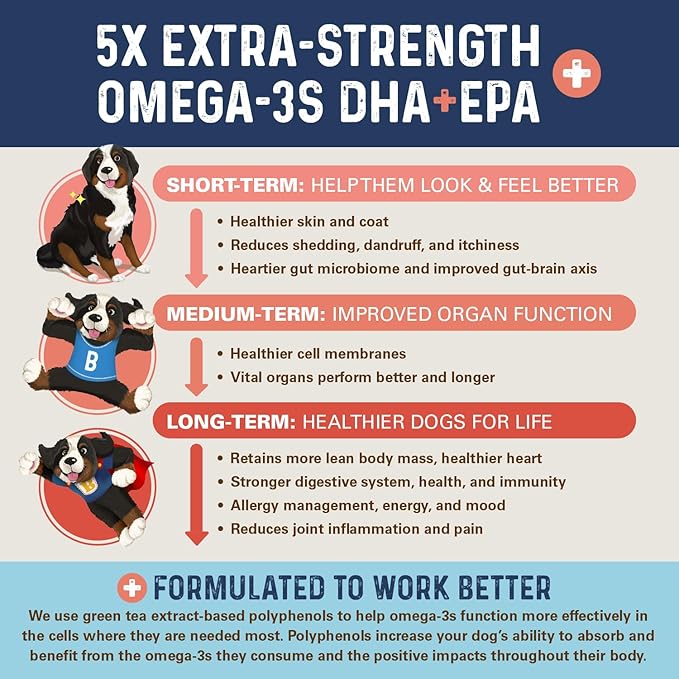 Bernie's OMG! Omegas Chews for Dogs - 5X Extra Strength DHA+EPA, Fish Oil, Healthy Skin & Coat, Allergy Relief, Joint Supplement (Pork Flavor)