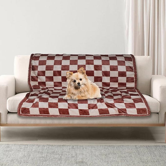 Premium Soft Dog Blanket, with Flannel Beige Cute Paw Print,43 * 30 inches, Cat Blanket Puppy Supplies Dog Products Stuff Essentials