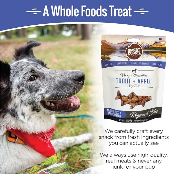 Smart Cookie All Natural Soft Dog Treats - Trout & Apple - Healthy Dog Treats for Allergies, Sensitive Stomachs - Chewy, Grain Free, Human-Grade, Made in The USA - 5oz Bag