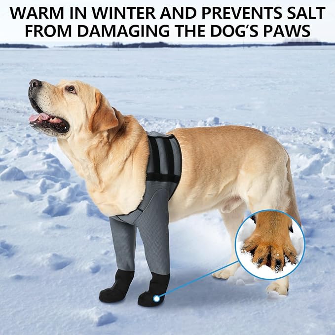 Dog Socks & Boots - Waterproof Anti-Licking Paw Protectors with Non-Slip Bottom, Post-Surgery Recovery Sleeves for Wound Protection (Grey, 2XL)