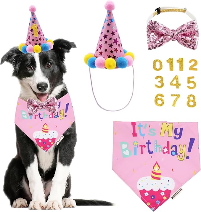 ADOGGYGO Dog Birthday Bandana Scarf and Dog Girl Birthday Party Hat with Cute Bow Tie for Medium Large Dog Pet (Large)