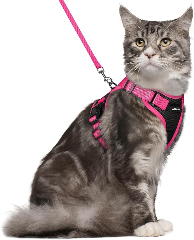 rabbitgoo Cat Harness and Leash Set, Escape Proof Soft Adjustable Vest Harnesses for Outdoor Walking, Easy Control Breathable Kitten Jacket with Reflective Strips, Black & Rose Pink, M