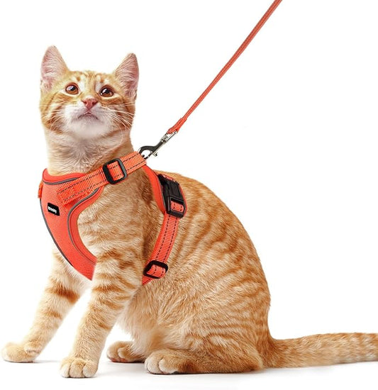 Rttochfy Cat Harness and Leash Set, Adjustable and Reflective Cat Vest, Escape Proof Kitten Harness, Easy to Put on with 3 Buckles for Cats Walking and Traveling (Orange, S)