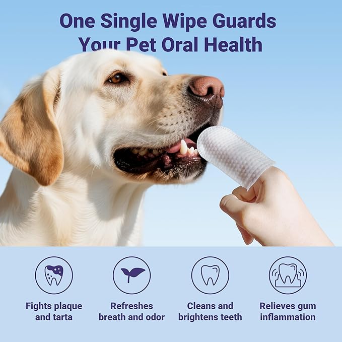 Pet Teeth Cleaning Wipes for Dogs&Cats, 60 pcs Dental Finger Wipes, Larger Sized, Plant Extract Ingredients Refresh Breath & Control Plaque & Protect Gum, Dog Tooth Brushing Kit, Unscented