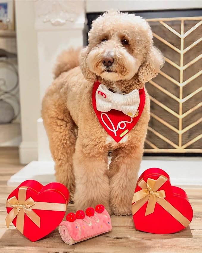 CHEWFFON Dog Enrichment Toys, Dog Puzzle Interactive Toy, Puppy Birthday Cake Toy for Boredom and Stimulating, Slow Feeding Snuffle Mat Crinkle Gift for Small and Medium Dogs