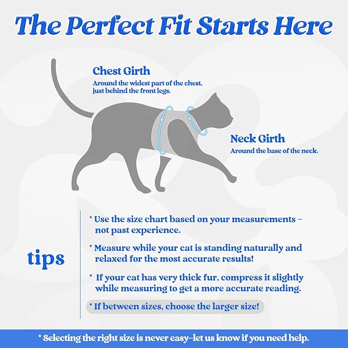 rabbitgoo Cat Harness and Leash Set for Walking Escape Proof, Adjustable Soft Kittens Vest with Reflective Strip for Cats, Comfortable Outdoor Vest,Blue,L