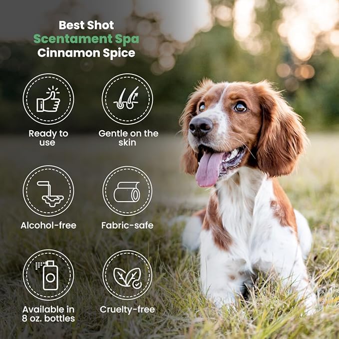 Best Shot Scentament Spa Botanical Body Splash, Body Spray Conditioner for Pets, Cat and Dog Cologne Spray, Alcohol-Free, Ready To Use, Cinnamon Spice, 8 Oz.