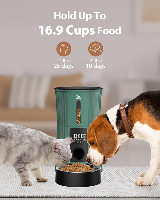 Petory Timed Automatic Cat Feeders - 4L Programable Dry Food Dispenser for Cats and Small Medium Dogs 6 Meals with Desiccant Bag Dual Power Supply 10S Voice Recorder
