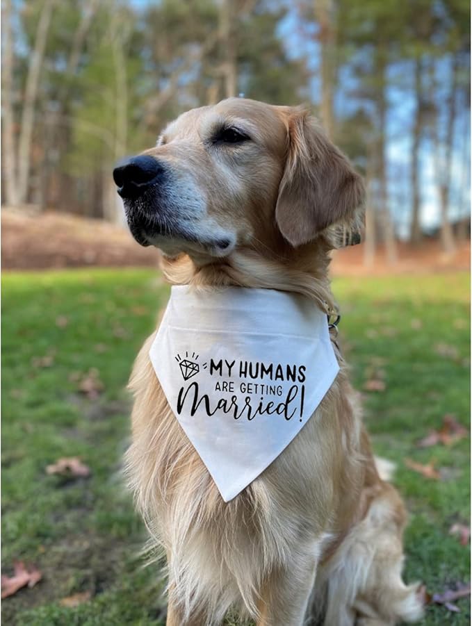 My Humans are Getting Married Dog Wedding Bandana Collar, Adjustable Engagement Pet Bandana with Quick Release Buckle & D-Ring for Dogs & Cats