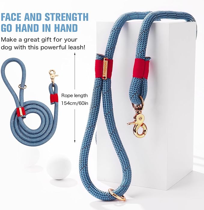 Nylon Rope Dog Leash Reflective, Handmade Braided Strong Dog Lead, Heavy Duty Rope Leash for Medium Large Dogs (5 FT - 3/5" Blue)