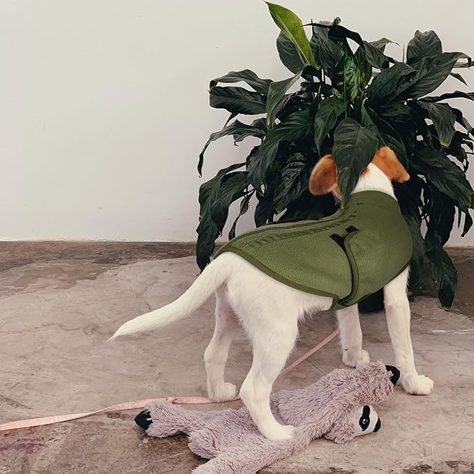 Queenmore XXS Dog Sweaters, Soft Fleece Vest Pullover Dog Jacket with Leash Hole, Warm Winter Dogs Clothes Cold Weather Doggy Dachshund Sweater for Small Dogs Cats Boy or Girl (Army Green, XXS)