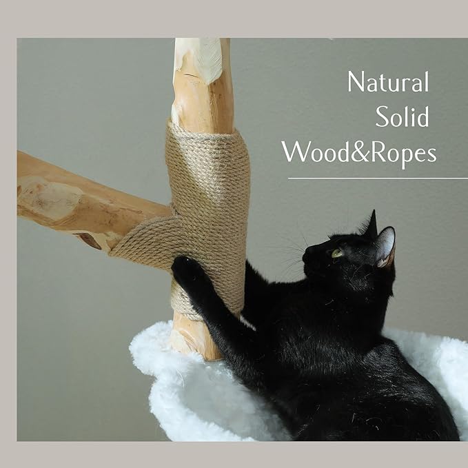 PAWZ Road Cat Tree for Indoor Cats Large Adults, 59 Inches Modern Cat Tower with Large Basket and Hammock, Natural Solid Wood, Luxury Condo & Dual Perches, Modern Cat Furniture for Big Cats, White