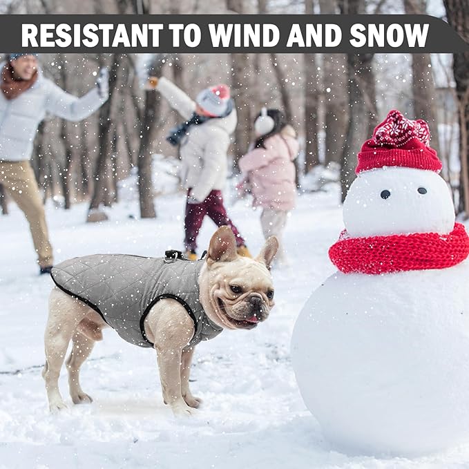 SCENEREAL Winter Dog Vest Coat with Harness Built in, Warm Dog Jacket for Small Medium Dogs, Puppy Cold Weather Coats with Zipper, Fleece Puffer Vest Windproof Snow Clothes for Puppy Pet