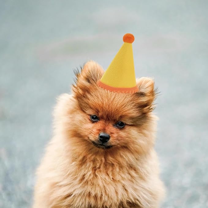 Dog Birthday Hat Set for Small Medium Dogs Cat Puppies, Mini Party Hat with Adjustable Headbands, Cute Pet Hat with Pompons for Birthday Christmas Party Decoration Accessories (Small 3.5 inch 20pcs)