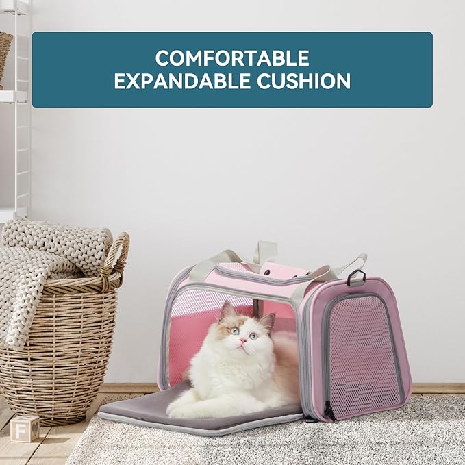 Airline-Approved Cat Carrier 17.5×10.5×10.5 in, Escape-Proof Design with Locking Zippers & Safety Leash, Easy-Access 3-Way Entry, Washable Mat, Gift-Ready Holiday Choice for Cats up to 12 lb