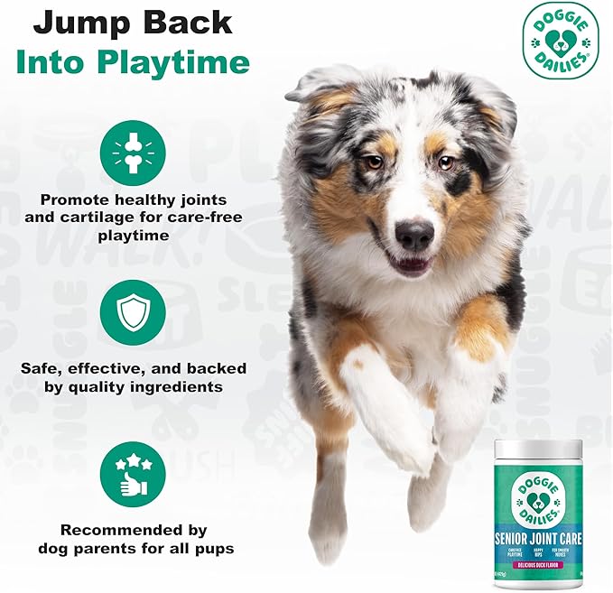 Doggie Dailies, Advanced Senior Hip and Joint Supplement for Dogs, Glucosamine Chondroitin, Premium Hip and Joint Chews for Dogs All Breeds & Sizes, Dog Vitamins and Supplements, (Duck) 120 Chews