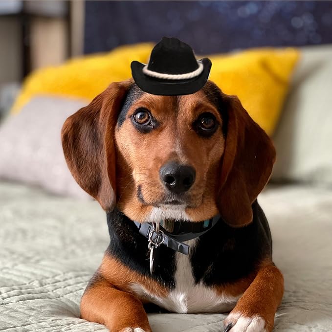 Dog Cowboy Hat Cat Cowboy Hat Pet Cowboy Costume Mini Cowboy Hat for Dogs Cat Holiday Halloween Pet Party Decoration (Black-style3, Small)
