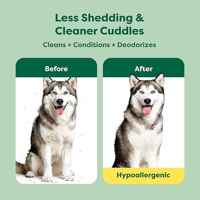 Earth Rated 3-in-1 Deshedding Dog Shampoo and Conditioner, Deodorizing Oatmeal Shampoos for Dogs and Puppies, Great for Smelly Pets, White Tea and Basil Scent, 16 oz