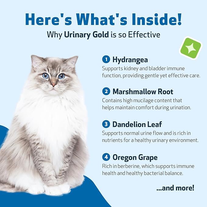 Pet Wellbeing Urinary Gold for Cats - Vet-Formulated Multi-Herb Urinary Tract Support - Feline Bladder Health & Urinary System Wellness - Holistic Cat Supplement - Liquid Formula 4 oz (118 ml)