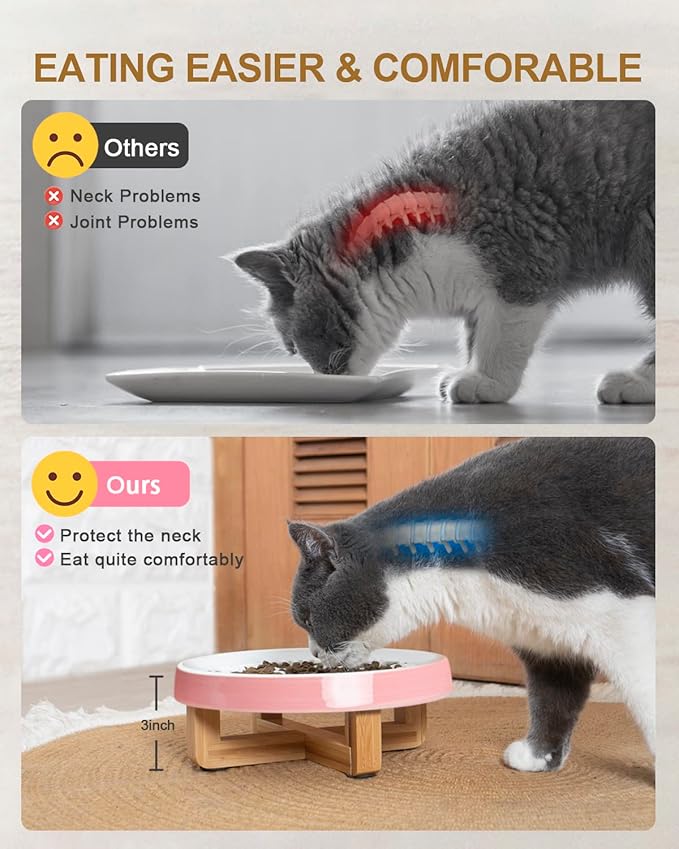 Raised Cat and Dog Slow Feeder Bowl With Stand, Ceramic Elevated Bowls for Healthy Eating Diet, Pet Puzzle Feeder, 3'' High, 8.5'' Wide