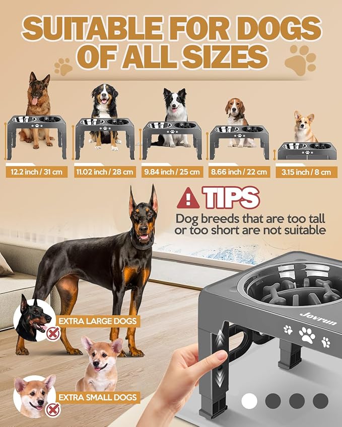 Elevated Dog Bowls, Dog Feeder with 2 Stainless Steel Dishes &1 Slow Feeder Bowl, 5 Heights Adjustable Raised Stand for Medium Large, Food Dishes with Non-Slip Feet