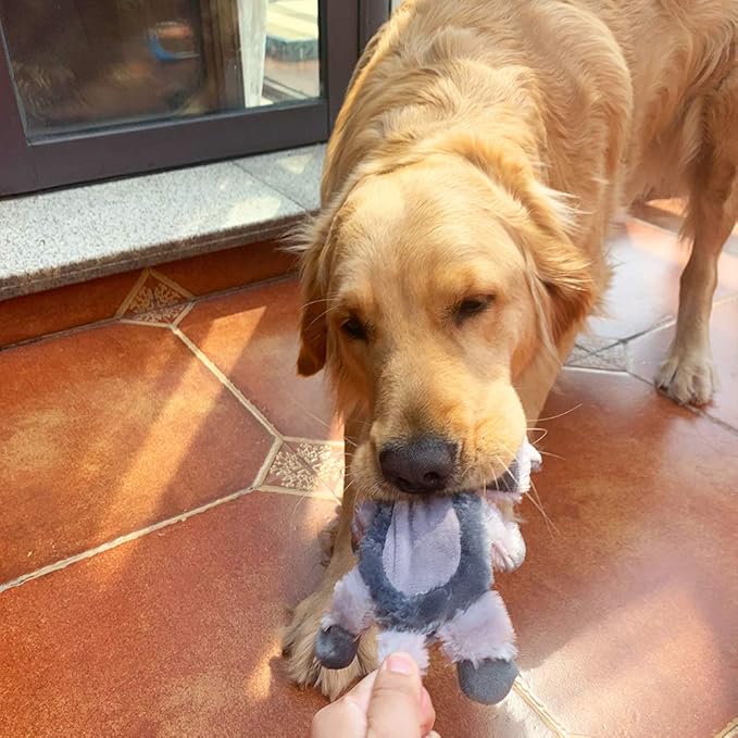 Jalousie Multipack Dog Squeaky Toys Strong Almost Indestructible, with Added Liner for Longer Play Dog Chew Toys (3 Pack - XLarge)