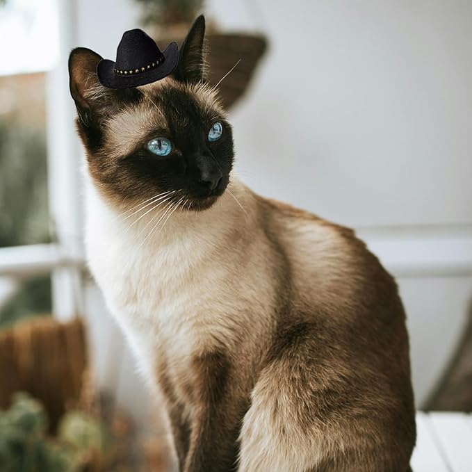 Dog Cowboy Hat Cat Cowboy Hat Pet Cowboy Costume Mini Cowboy Hat for Dogs Cat Holiday Halloween Pet Party Decoration (Black, Small)