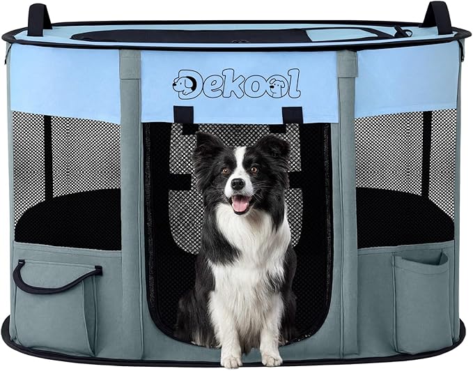 Foldable Dog Cat Playpen, Portable Dog Crate for Puppies, Cat, Puppy Play Pen for Indoors, Kennel Tent Crate for Indoor Outdoor Travel Camping Use with Carrying Case (Blue, M)