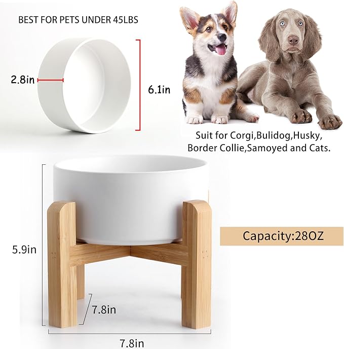 Petygooing 28 OZ White Elevated/Raised Ceramic Dog Bowl for Small and Medium Breeds, Dog Food Water Dish with Stand,Pet Feeding Bowl with Anti Slip Rubber for Cats Small and Medium Dogs (3.6 Cups)