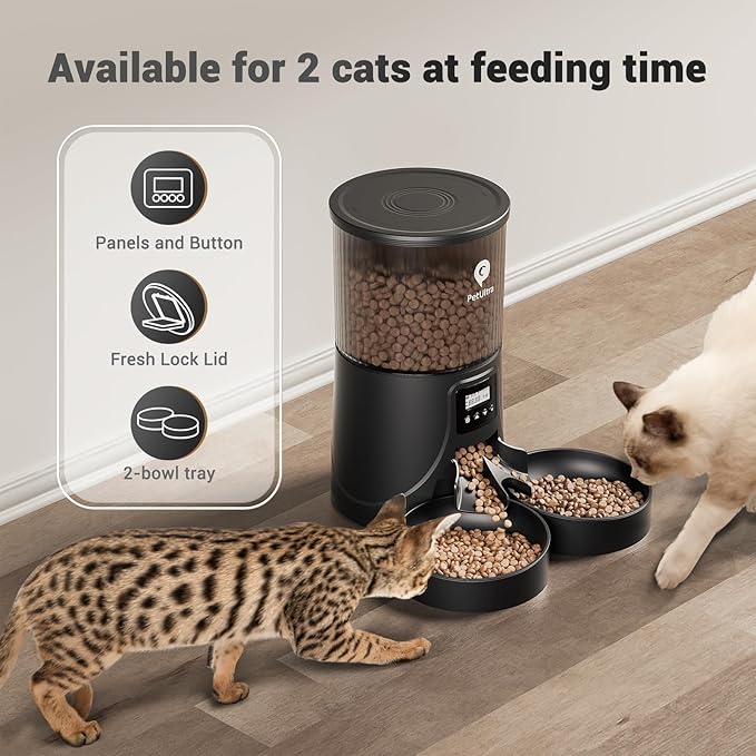 Automatic Cat Feeder for 2 Cats - 16 Cups/4L Timed Auto Pet Feeder with Portion Control (1-6 Meals), Dual Power& Easy to Clean for Indoor Cats & Small Dogs