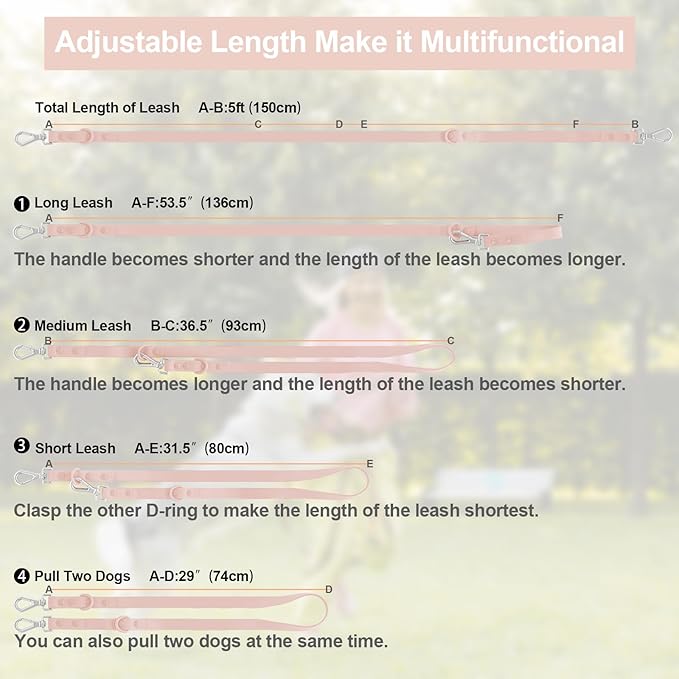 Wisedog Waterproof Dog Leash – 5ft/6ft Adjustable with 2 Hooks & Traffic Handle, Easy to Clean Double Clip Leash for Small, Medium, Large Dogs (Gossamer Pink,S)