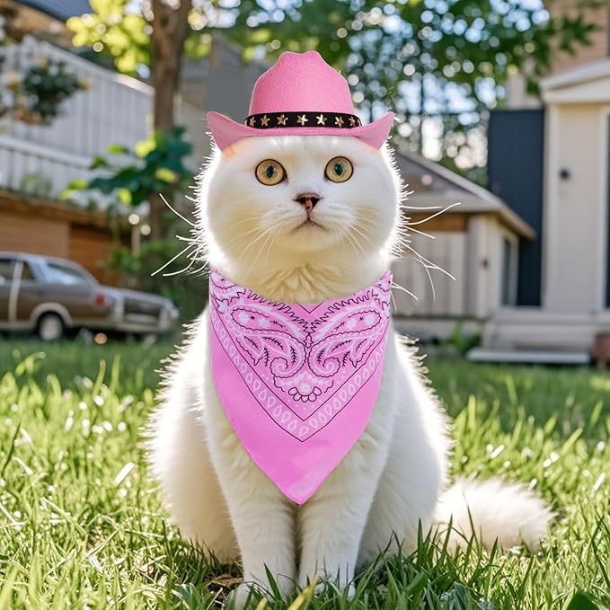 Pet Cowboy Costume Halloween Costumes for Small Pet Dogs Cat Cowboy Hat with Bandana Scarf Set Party Accessories (Pink, Small)