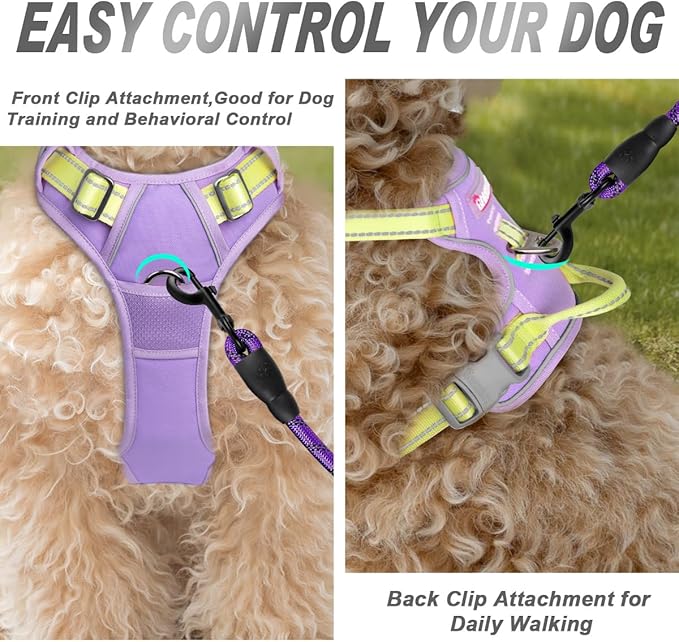 BARKBAY No Pull Dog Harness Front Clip Heavy Duty Reflective Easy Control Handle for Large Dog Walking(Violet Purple & Sunlight,XS)
