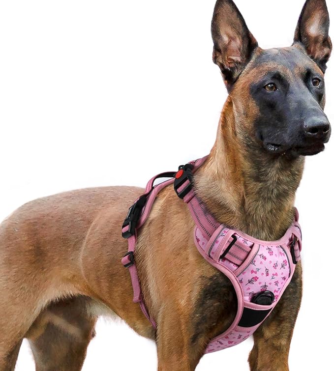 rabbitgoo Dog Harness for Large, No Pull Pet Harness with 3 Buckles, Adjustable Soft Padded Vest with Control Handle, Walking Reflective Pet Vest for Extra Large Dogs, Floral Pink, XL
