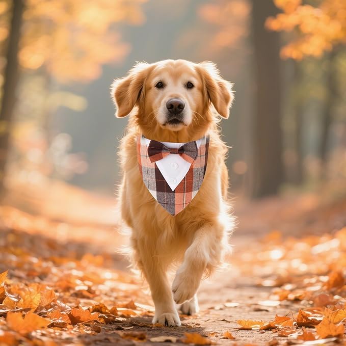 ADOGGYGO Fall Dog Tuxedo Bandana, Orange Plaid Pet Fall Collar with Bowtie, Adjustable Halloween Thanksgiving Costume for Extra Large Dogs (XL)