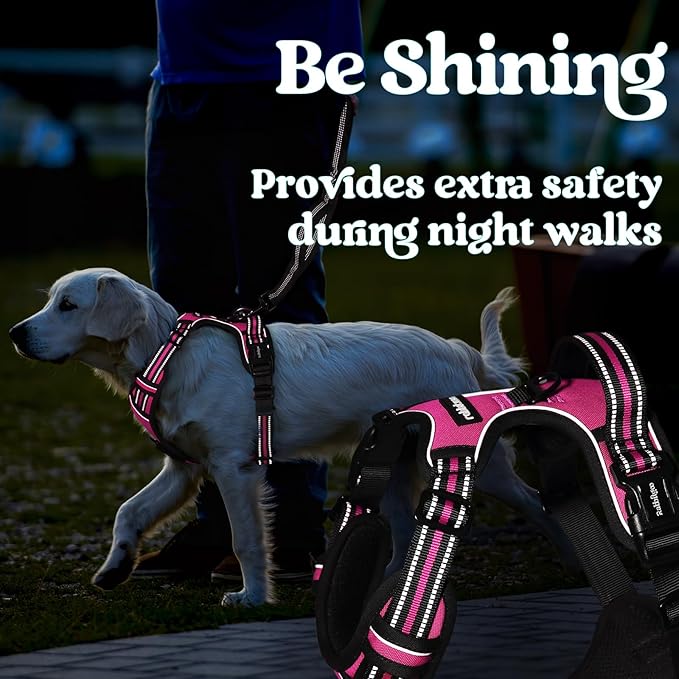 rabbitgoo Dog Harness Medium Sized, No Pull Pet Harness with 3 Buckles, Adjustable Soft Padded Vest with Control Handle, Walking Reflective Pet Vest for Medium Dogs, Rose Pink, M