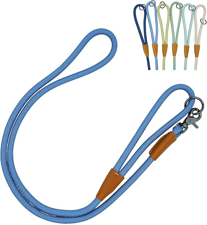 5FT Nylon Rope Dog Leash, Short Leash for Training Small Medium Large Dogs (Air Blue, 5FTx10MM)