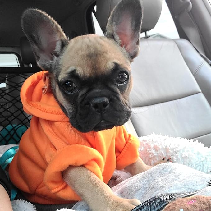 Jecikelon Winter Dog Hoodie Sweatshirts with Pockets Warm Dog Clothes for Small Dogs Chihuahua Coat Clothing Puppy Cat Custume (Orange, XX-Small)