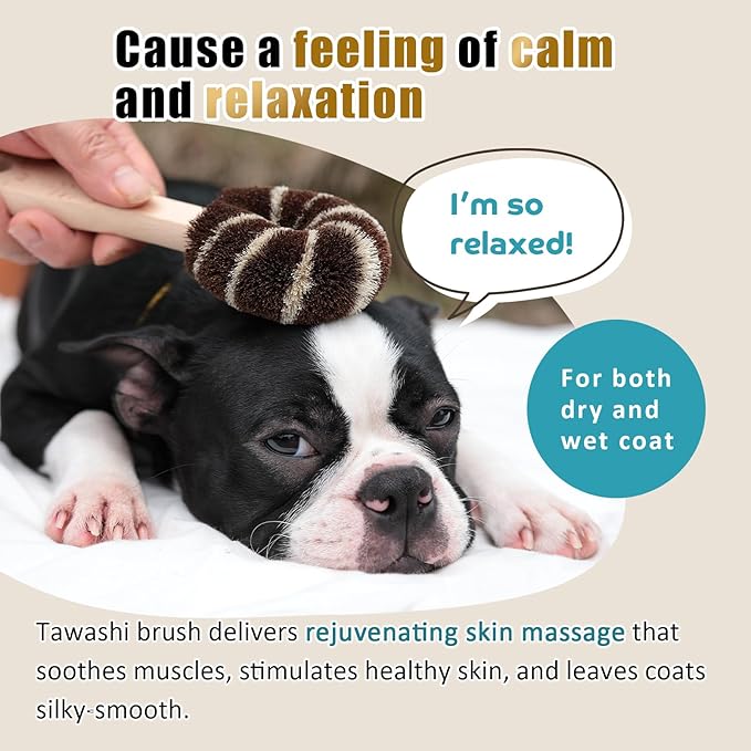 Dog Grooming Massage Tawashi Brush with Wood Handle Less Static Natural Palm Fiber Made in Japan (Large Dog)