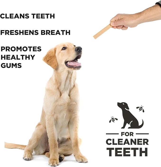PROJECT HIVE ·PET COMPANY· Dental Chew Stick Treats for Large Dogs 12 oz. Ñ Healthy, Natural Peanut Butter Flavored, Natural, Vegetarian Chews, Made in The USA (Chew Sticks, Large Breeds)