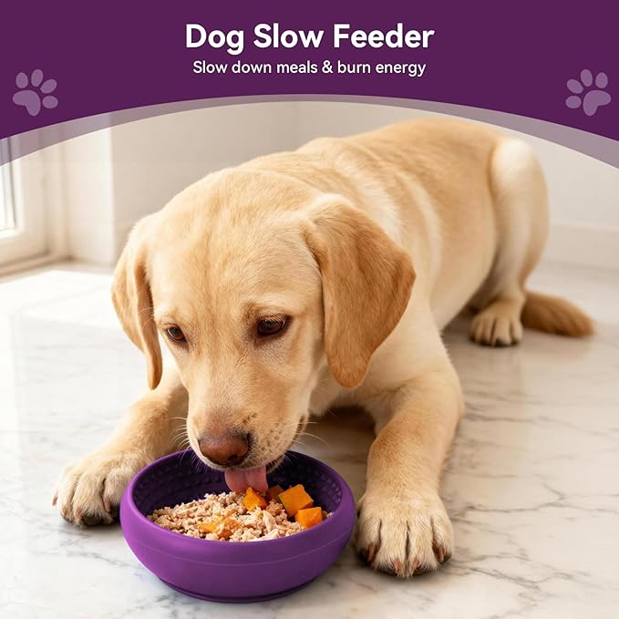 Slow Feeder Dog Bowl, BPA-Free Silicone Lick Mat for Small and Medium Dogs, Non-Slip & Dishwasher Safe (Purple，L)