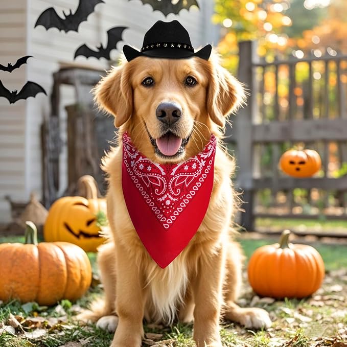 Pet Cowboy Costume Halloween Costumes for Small Pet Dogs Cat Cowboy Hat with Bandana Scarf Set Party Accessories (Black, Small)