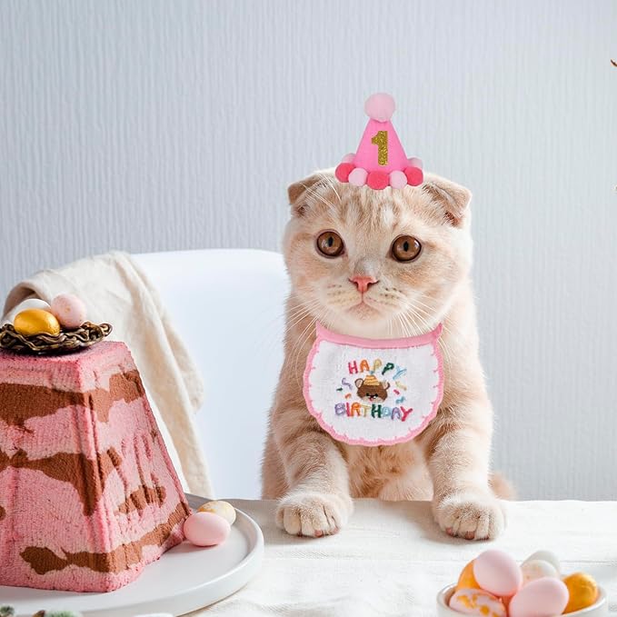 PTDECOR Cat Birthday Party Supplies, Pink Hat with Numbers Cat Bandana Pet Decorations for Kitten Birthday Outfits (Pink)