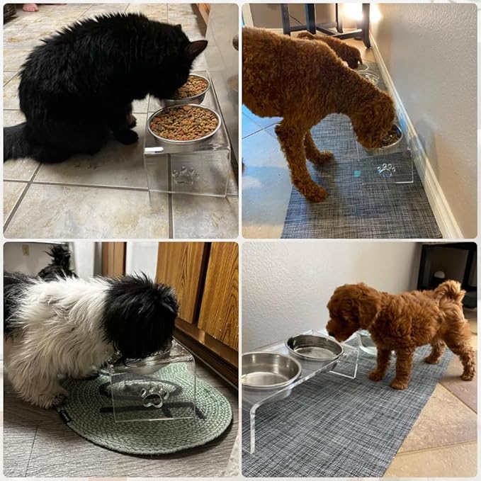 Raised Cat & Dog Bowl, Elevated Pet Feeding Station with 15 Tilted Neck Protective Acrylic Stand, Double Stainless Steel Bowls, for Small, Medium, Large Cats & Dogs