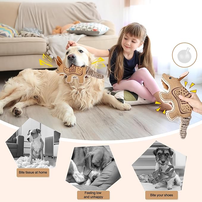 Tough Durable Squeaky Dog Toys for Aggressive chewers Interactive to Keep Them Busy, Funny Plush Dogs Toy for Small Medium Large Chewer Cute Birthday Gift (Armadillo)