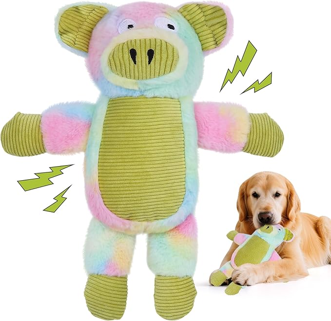 Dog Toys Plush, Squeaky Stuffed Dog Toy, Rainbow Pig Dog Toys for Small Medium Breeds, Soft Dog Plush Toy, Puppy Teething Dog Toy, Interactive Dogs Toy for Indoor Dogs(Green)