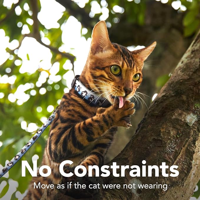 Cat Harness and Leash Set - Escape Proof Adjustable Cat Harness, Comfortable Soft Lightweight, Use Safe & Easy, Walking Travel Kitten Harness for Small Medium Large Cats (Blue Glacier Penguin)